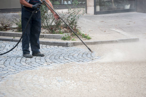 Best Gutter Cleaning  in Jarales, NM